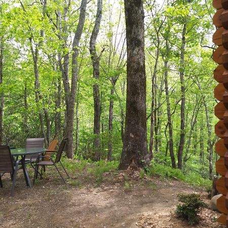 Two Rivers Cabins - The Mountaintop Brevard Buitenkant foto