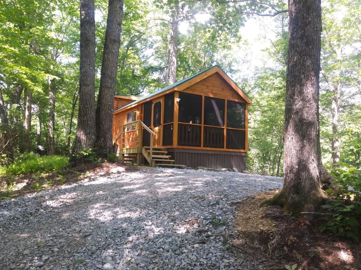 Two Rivers Cabins - The Mountaintop Brevard Buitenkant foto