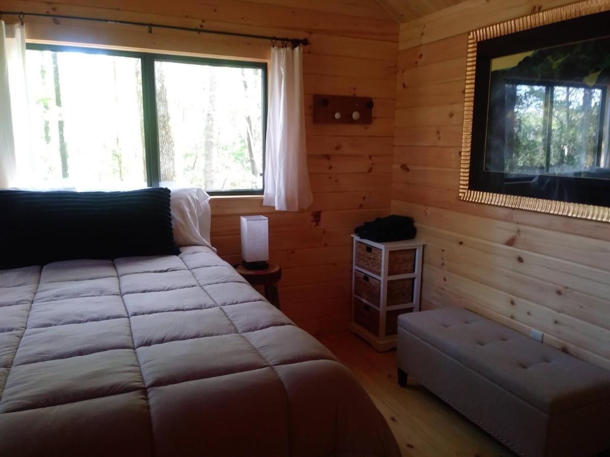 Two Rivers Cabins - The Mountaintop Brevard Buitenkant foto