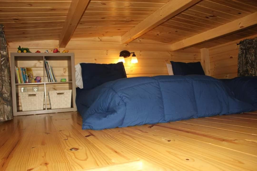 Two Rivers Cabins - The Mountaintop Brevard Buitenkant foto
