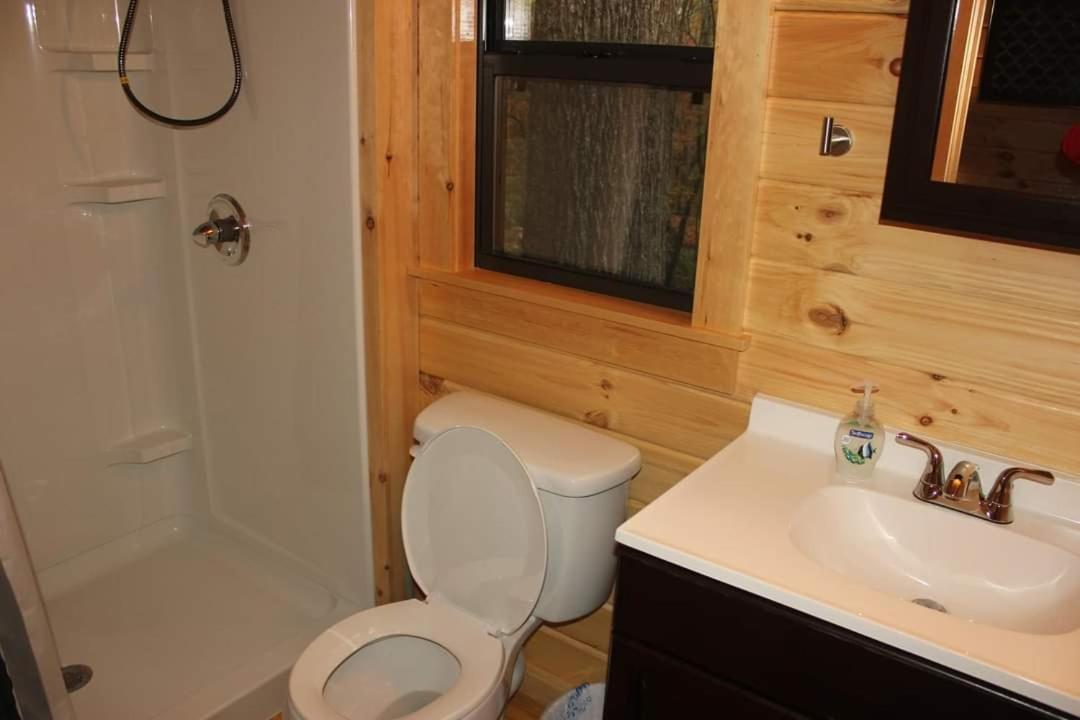 Two Rivers Cabins - The Mountaintop Brevard Buitenkant foto